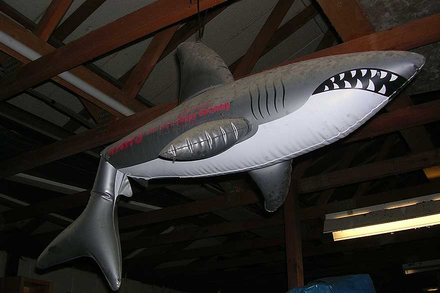 Jaws 5: The Pool Shark • Tom Lennon